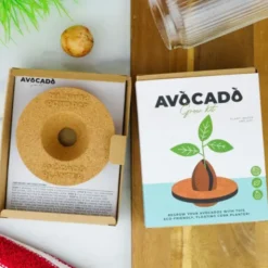 Avocado Anzuchthilfe Kork