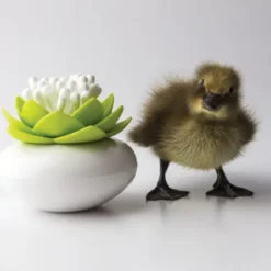 Behälter für Wattestäbchen - Lotus Cotton Bud, grün