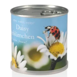Blumendose Gänseblümchen Daisy – Anzuchtset mit Trockengranulat & Samen