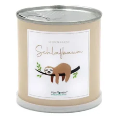 Blumendose Schlafbaum Seidenakazie – Pflanzset zum Anzüchten
