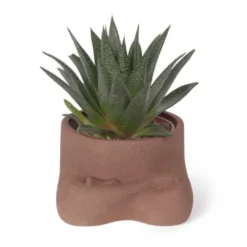 Blumentopf Namaste