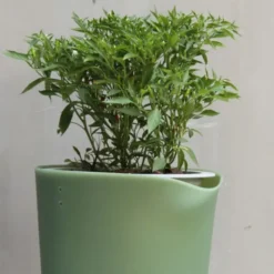 Blumentopf selbstbewässernd, grün-grau rund, Größe L