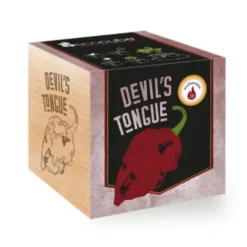 Chili Devil's Tongue ecocube, Pflanze im Holzwürfel