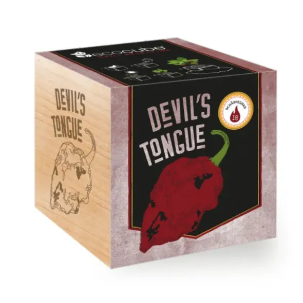 Chili Devil's Tongue ecocube, Pflanze im Holzwürfel