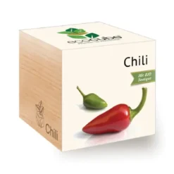 Chili ecocube, Pflanze im Holzwürfel