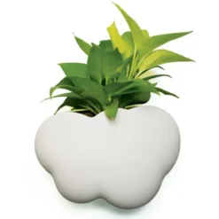Cloud Pot Container - Wand Utensilienbehälter und Pflanzbehälter