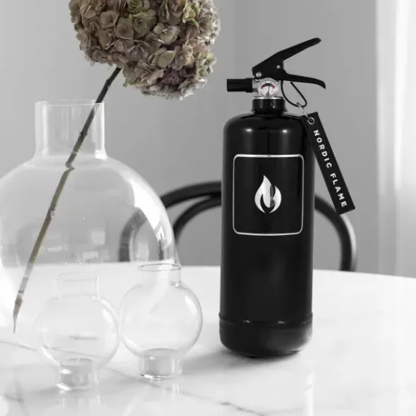 Design Feuerlöscher 2 kg, classic schwarz-silber