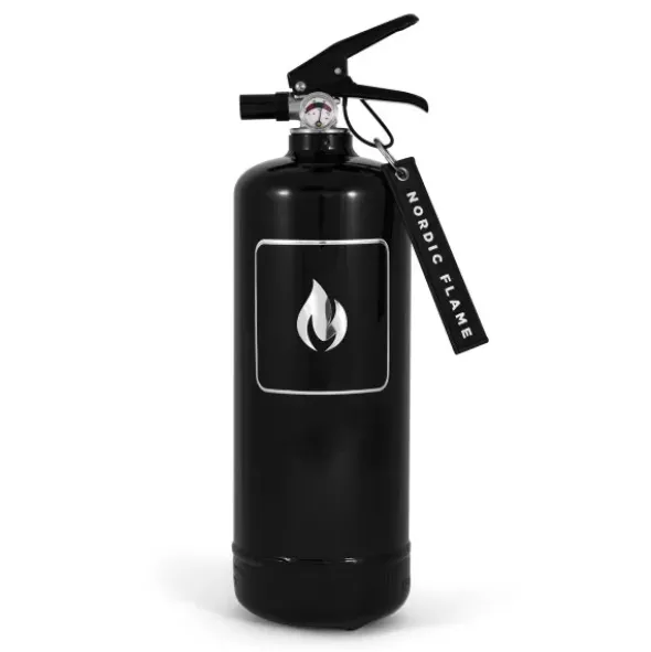 Design Feuerlöscher 2 kg, classic schwarz-silber