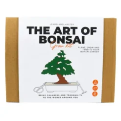 DIY Bonsai Anzuchtset