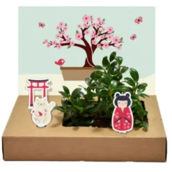 DIY Mini-Garten zum Anzüchten - Bonsai