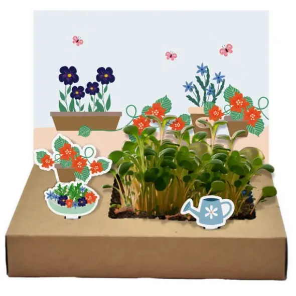 DIY Mini-Garten zum Anzüchten - Essbare Blüten