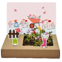 DIY Mini-Garten zum Anzüchten - Happy Birthday Blütenpracht