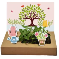 DIY Mini-Garten zum Anzüchten - Katzenminze