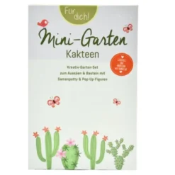 DIY Mini-Garten zum Anzüchten - Kakteen