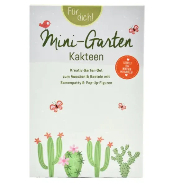 DIY Mini-Garten zum Anzüchten - Kakteen