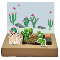 DIY Mini-Garten zum Anzüchten - Kakteen