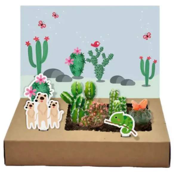 DIY Mini-Garten zum Anzüchten - Kakteen