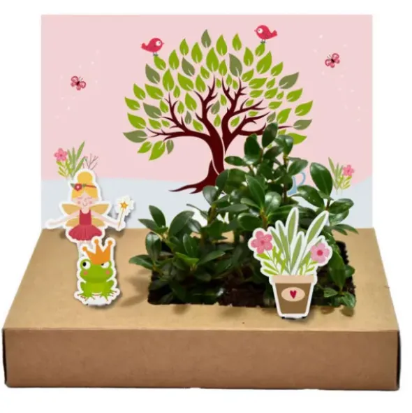 DIY Mini-Garten zum Anzüchten - Wunschbaum