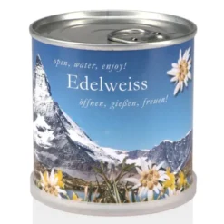 Edelweiß in der Dose – Anzuchtset mit Samen & Granulat