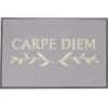 Fußmatte Carpe Diem grau, 75 x 50 cm - waschbar