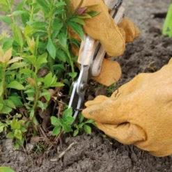 Gartenschere mit Holzgriff, Edelstahl