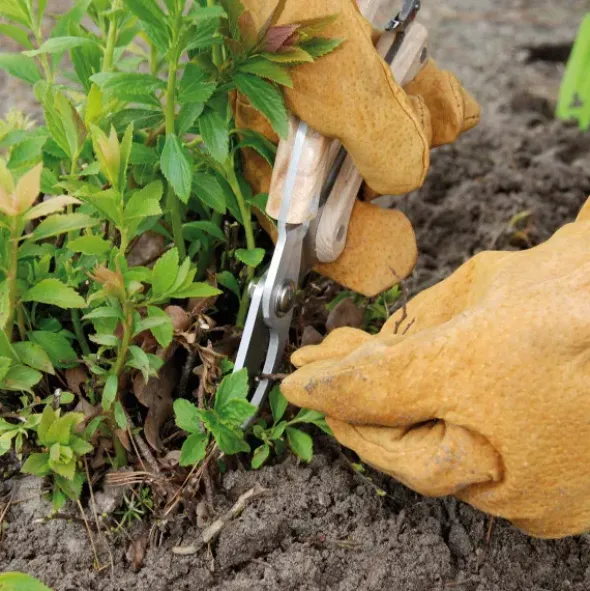Gartenschere mit Holzgriff, Edelstahl