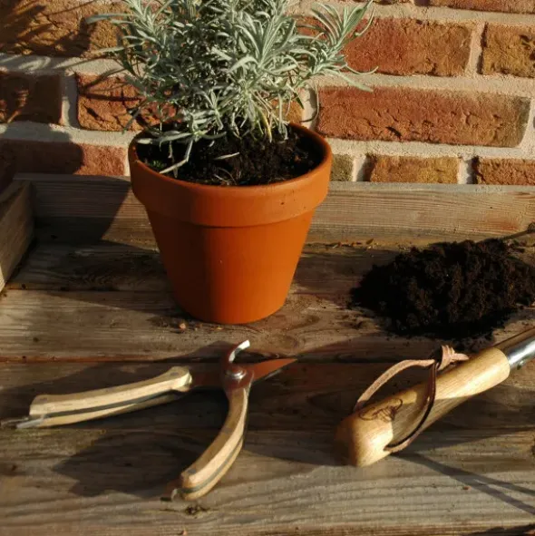 Gartenschere mit Holzgriff, Edelstahl