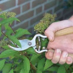Gartenschere mit Holzgriff, Kupfer