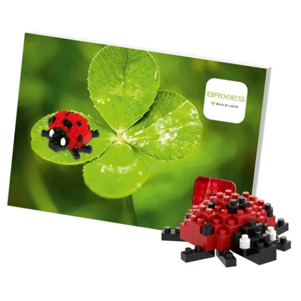 Geschenkkarte Glück mit Brixies Klemmbausatz MARIENKÄFER - 51 Bausteine