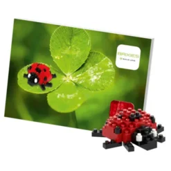 Geschenkkarte Glück mit Brixies Klemmbausatz MARIENKÄFER - 51 Bausteine