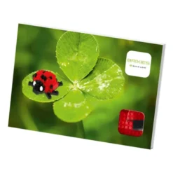 Geschenkkarte Glück mit Brixies Klemmbausatz MARIENKÄFER - 51 Bausteine