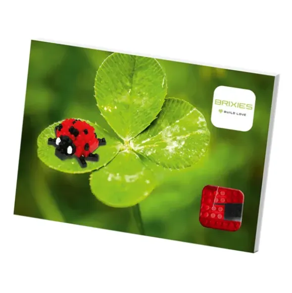 Geschenkkarte Glück mit Brixies Klemmbausatz MARIENKÄFER - 51 Bausteine