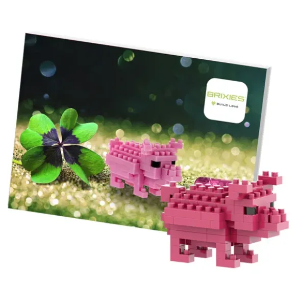 Geschenkkarte Glück mit Brixies Klemmbausatz GLÜCKSSCHWEIN - 189 Bausteine