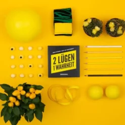 Gesellschaftsspiel 2 Lügen 1 Wahrheit