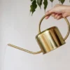 Gießkanne Edelstahl - Vintage Blumengießkanne 1,2 L