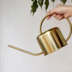 Gießkanne Edelstahl - Vintage Blumengießkanne 1,2 L