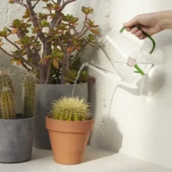 Glas Gießkanne 1 l mit integrierter Tulpe Glas-Blume
