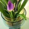Glasvase AURA Blumenvase 2-teilig amber-blau