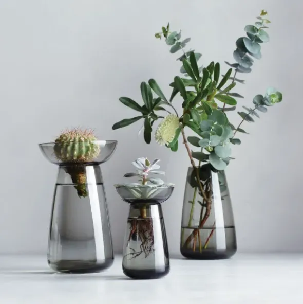 Glasvase für Ableger & Pflanzen – Aqua Culture Vase 20 cm grau