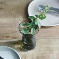 Glasvase für Ableger & Pflanzen – Aqua Culture Vase 20 cm grau