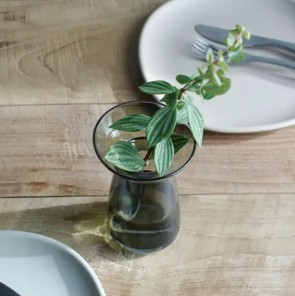 Glasvase für Ableger & Pflanzen – Aqua Culture Vase 20 cm grau