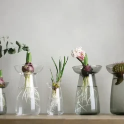 Glasvase für Ableger & Pflanzen – Aqua Culture Vase 20 cm transparent
