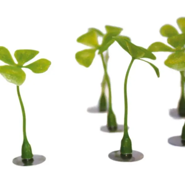 Glücksmagnet Kleeblatt 3er Set
