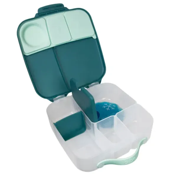 Große Kinderlunchbox mit 4 Fächern 2000 ml - dunkelgrün