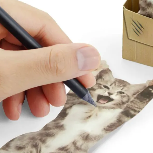 Haftnotizzettel Cat in a Box