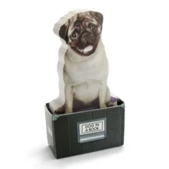 Haftnotizzettel Dog in a Box
