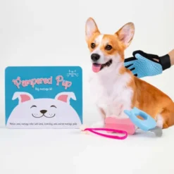 Hunde Massage Set PAMPERED PUP