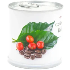 Kaffeepflanze in der Dose – Blumendose Anzuchtset mit Samen