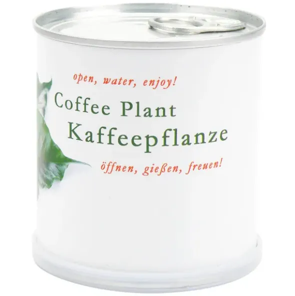 Kaffeepflanze in der Dose – Blumendose Anzuchtset mit Samen