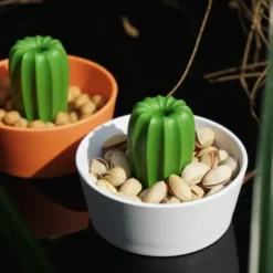Kaktus Snackschale + Glas Abdeckung CACNUTS weiß-grün